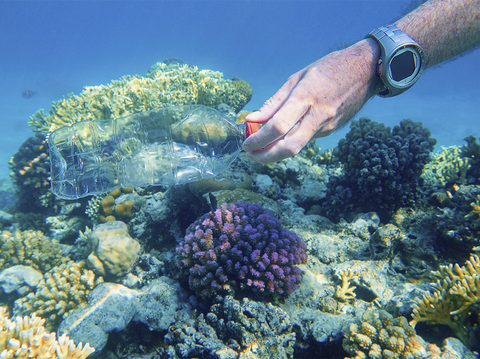 A Growing Movement for Our Oceans